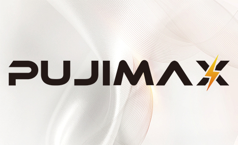PUJIMAX: Leading Innovation in Digital Accessories with Global Reach
